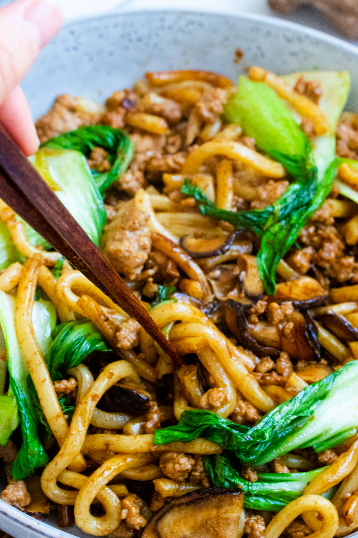 shanghainese thick stir-fry noodles