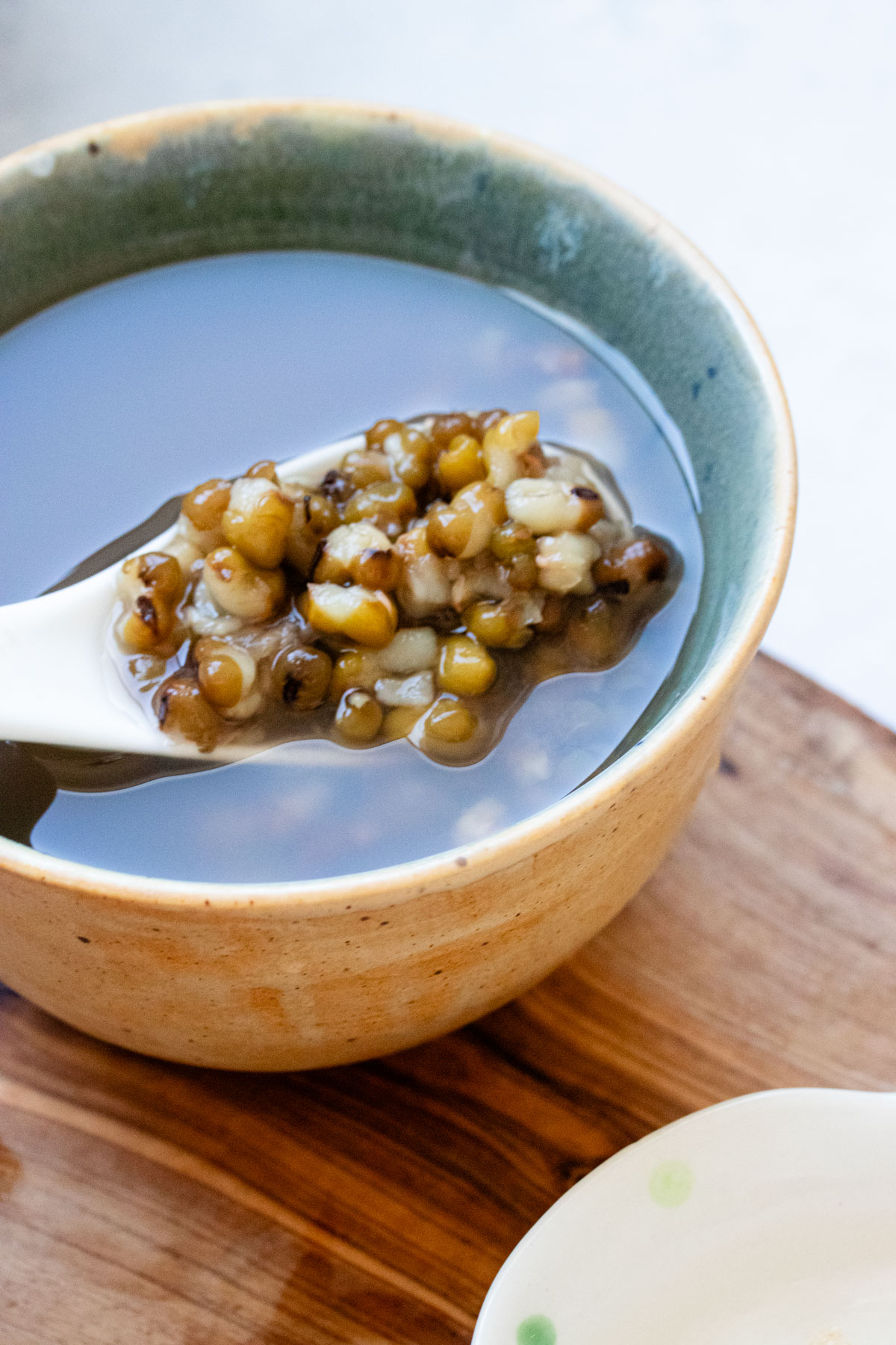 Green bean soup made in Instant Pot.