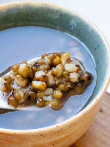 Instant Pot green bean soup.